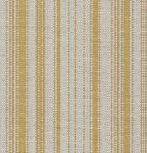 CATALOGO CURVAR 2025 - 2026 (2)