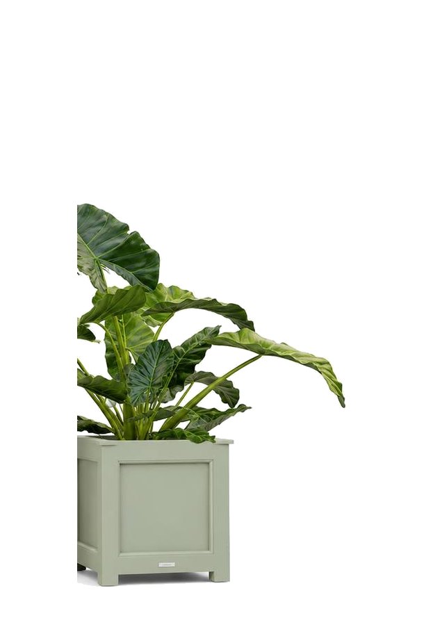 Matera Manaure cuadrada pequeña en aluminio verde salvia — Curvar